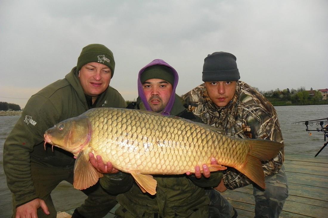 pescuit ,pur si simplu - 1001665jpgoriginal.jpg